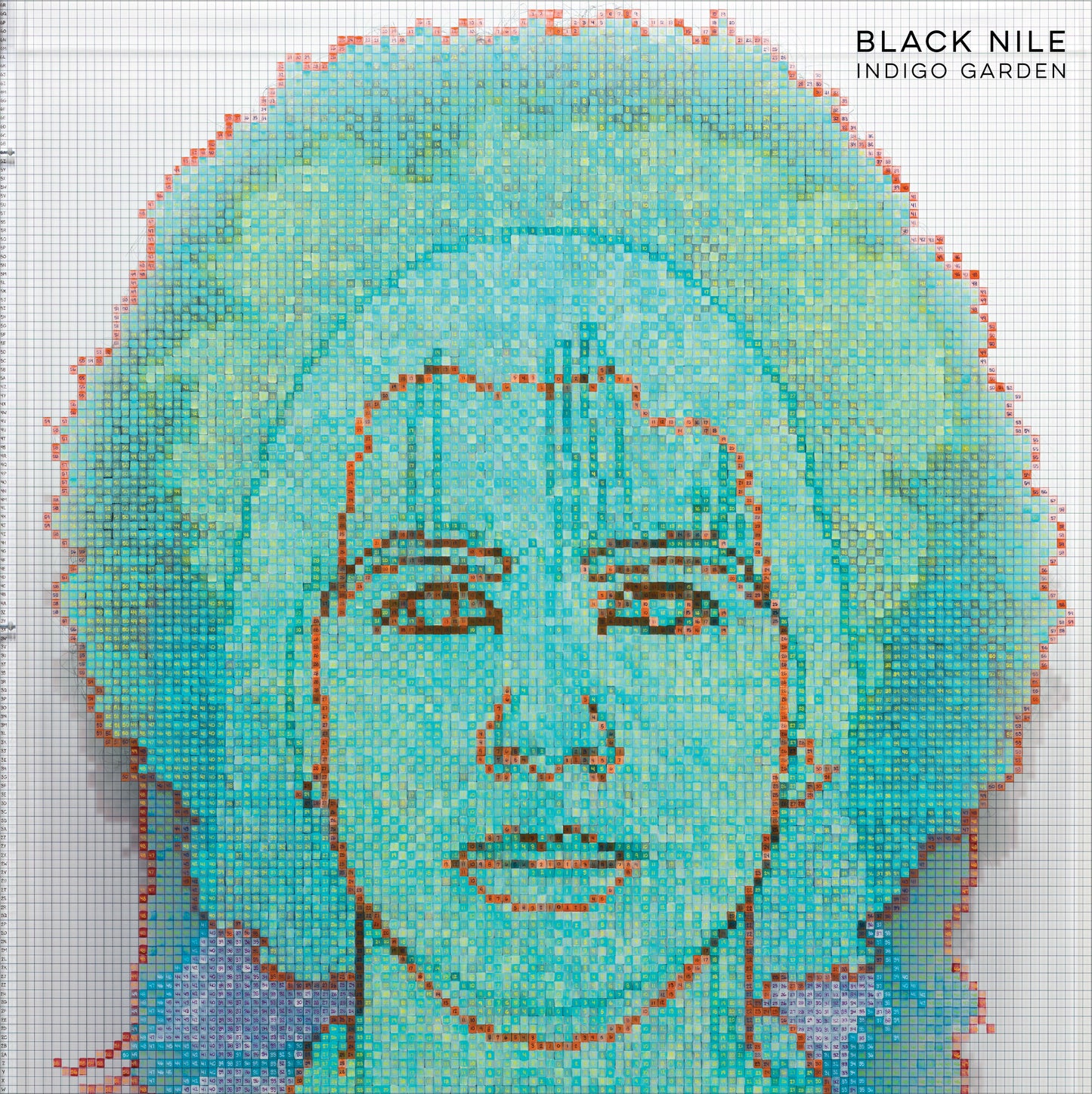 Black Nile - Indigo Garden (12 inch vinyl album from JIJI's JAZZ Club)